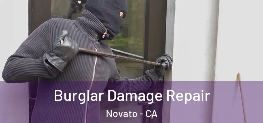  Burglar Damage Repair Novato - CA