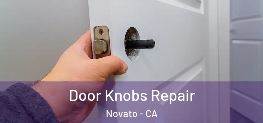  Door Knobs Repair Novato - CA