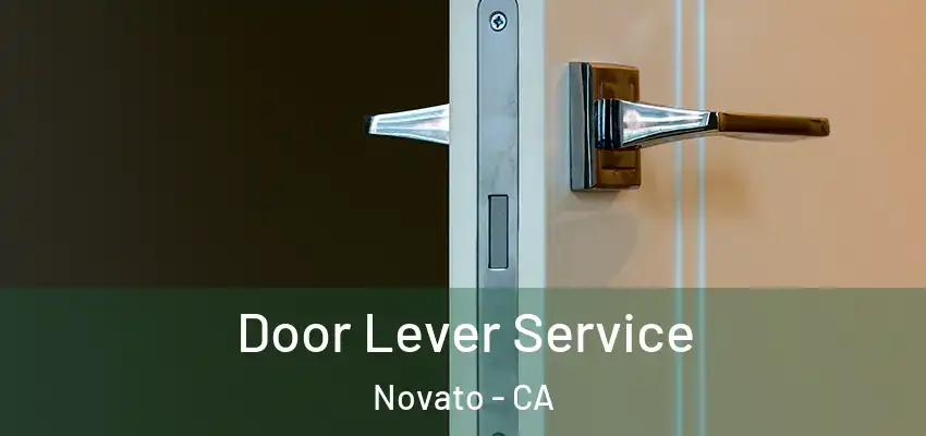 Door Lever Service Novato - CA