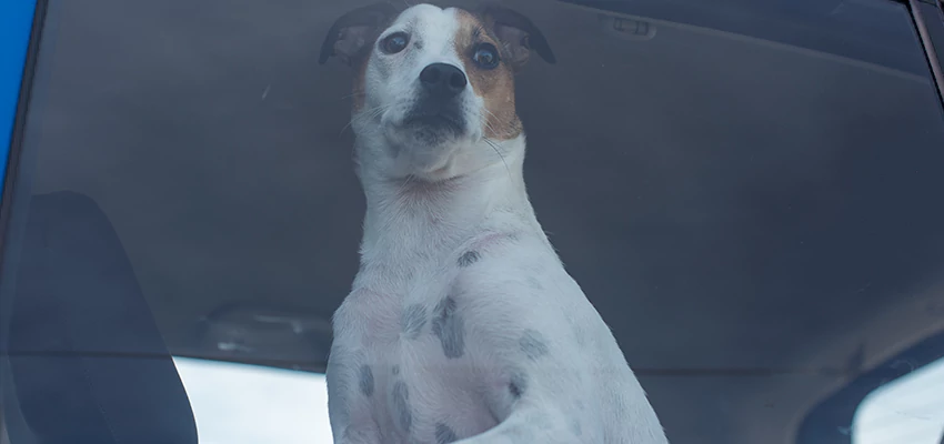 Car Lockout Solutions in Novato, California