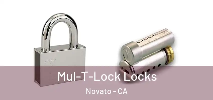  Mul-T-Lock Locks Novato - CA