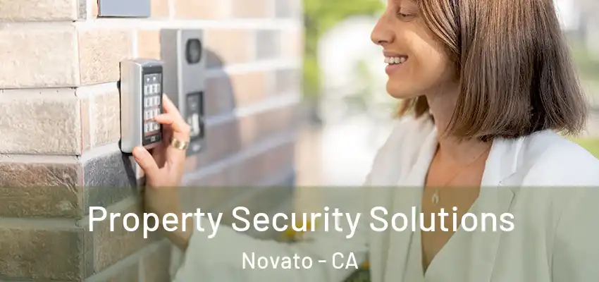  Property Security Solutions Novato - CA